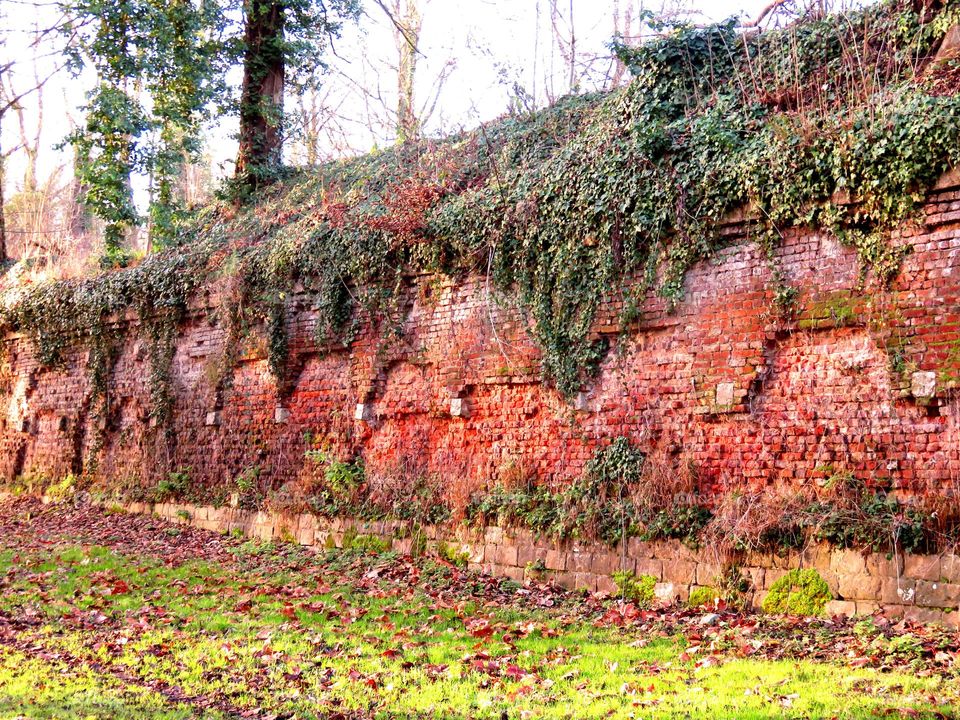 ancient wall