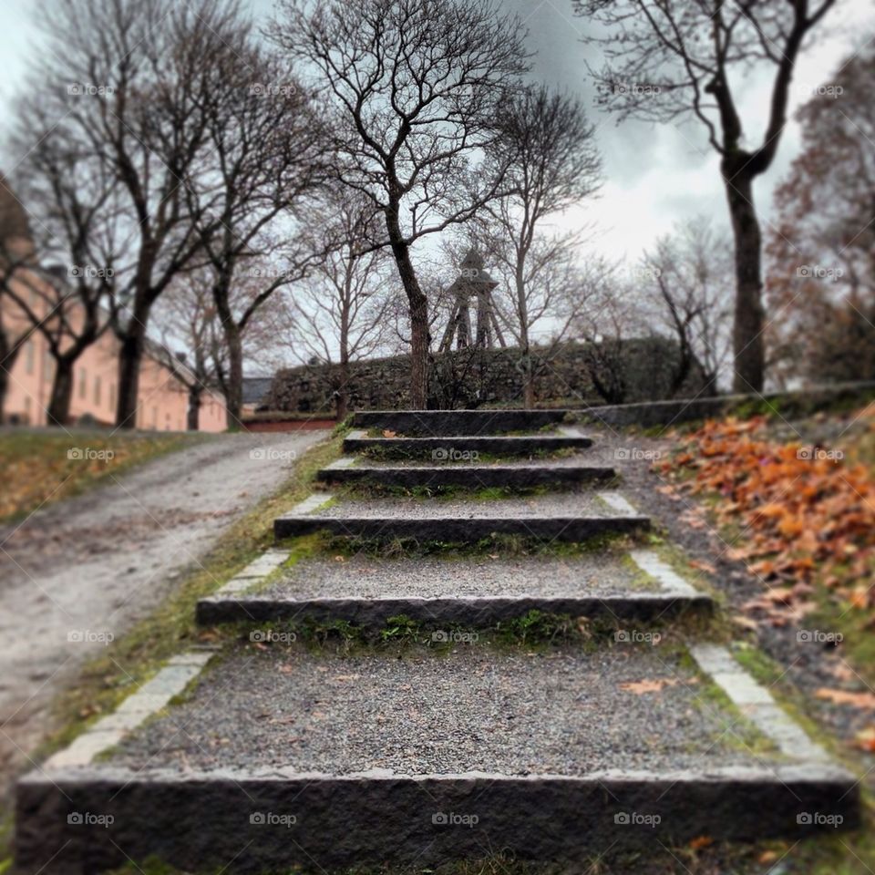 Stairs in a park