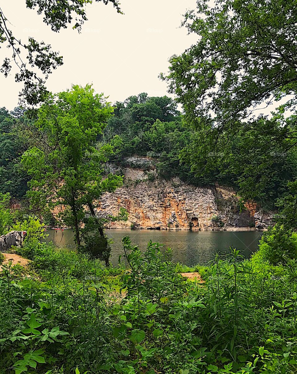 Hidden lake in the woods of Knoxville Tennessee!