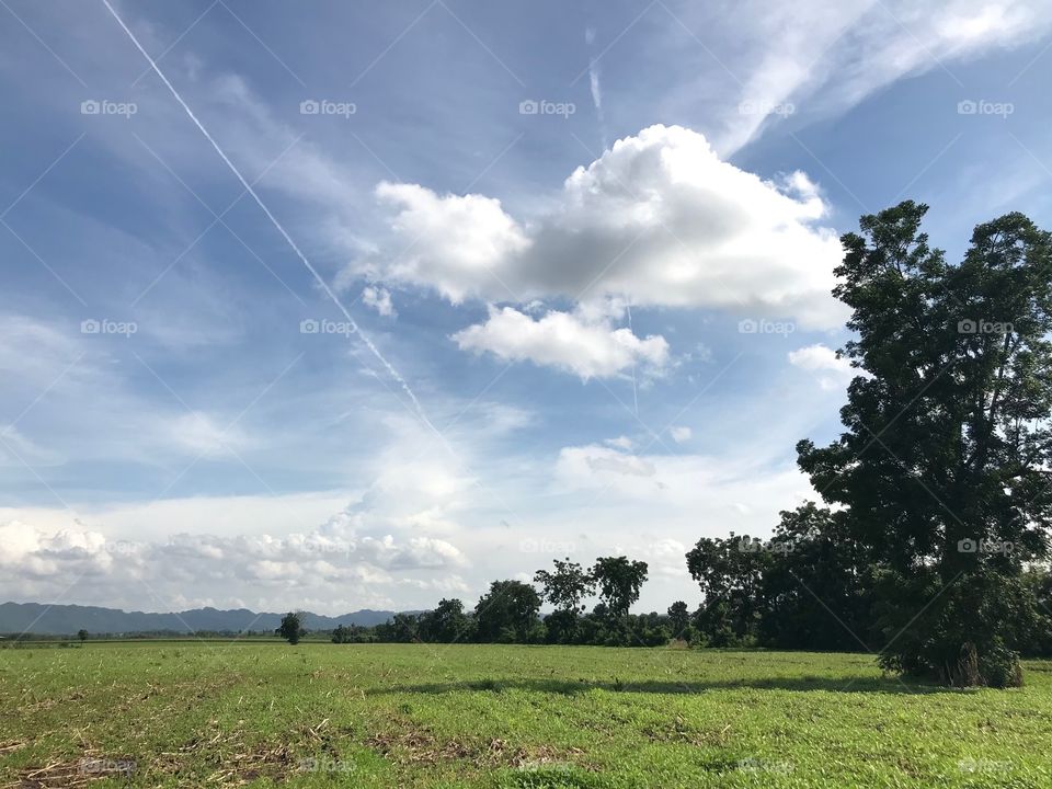 Naturopathy give you more life 