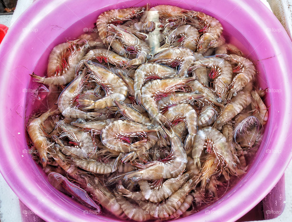 Fresh prawns for sale at market in Kep, Cambodia 