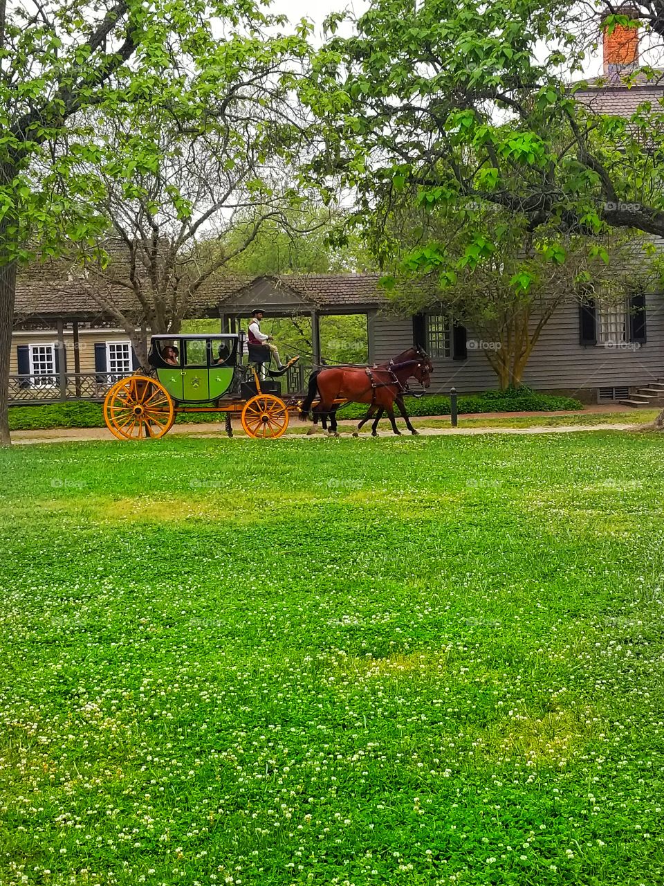 Carriage Ride