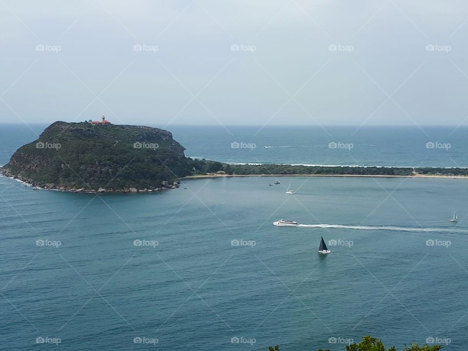 Curl Curl beach Australia 🇦🇺