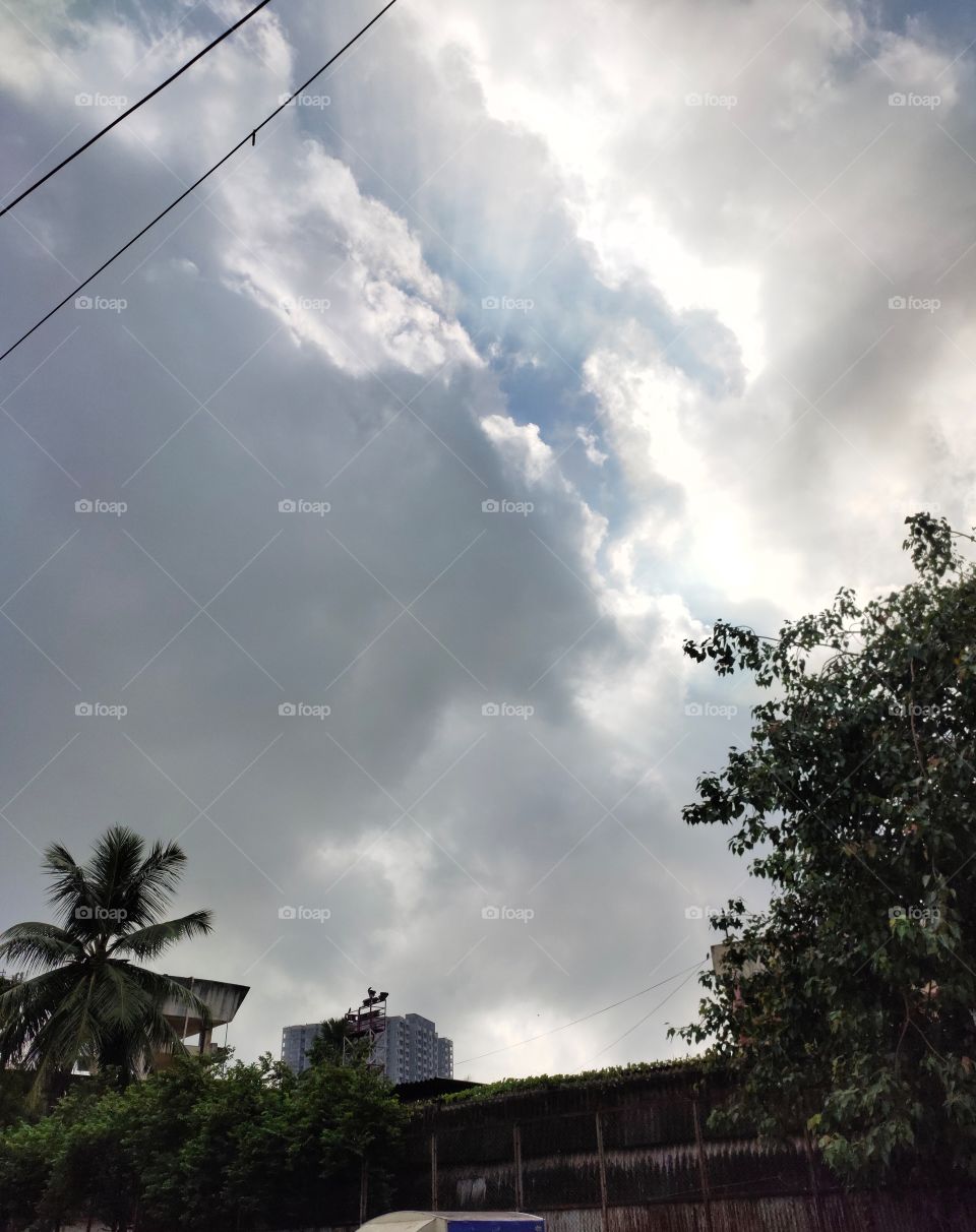 Rainy Weather ☔
👁️👁️📷👁️
Black ☁️ Clouds
Flora🌴🌱🍀🌿