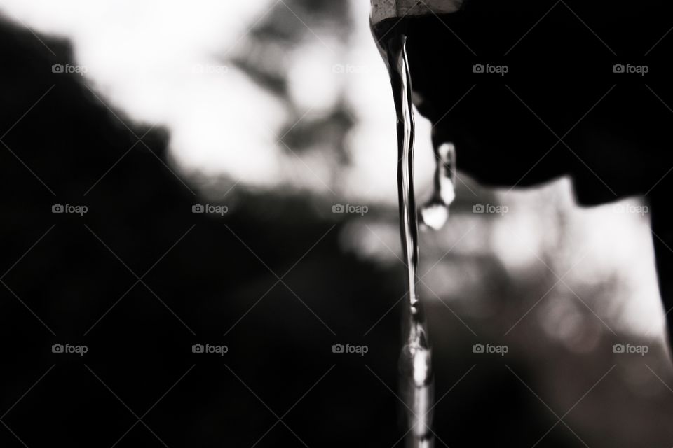 Dramatic water dripping 