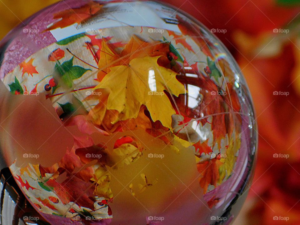 Fall foliage seen through a crystal ball 