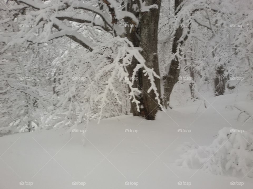 winter time mountain with snow