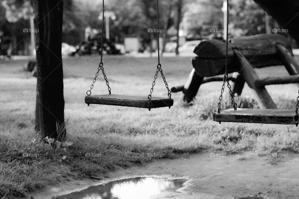 Swing hanging on tree at park