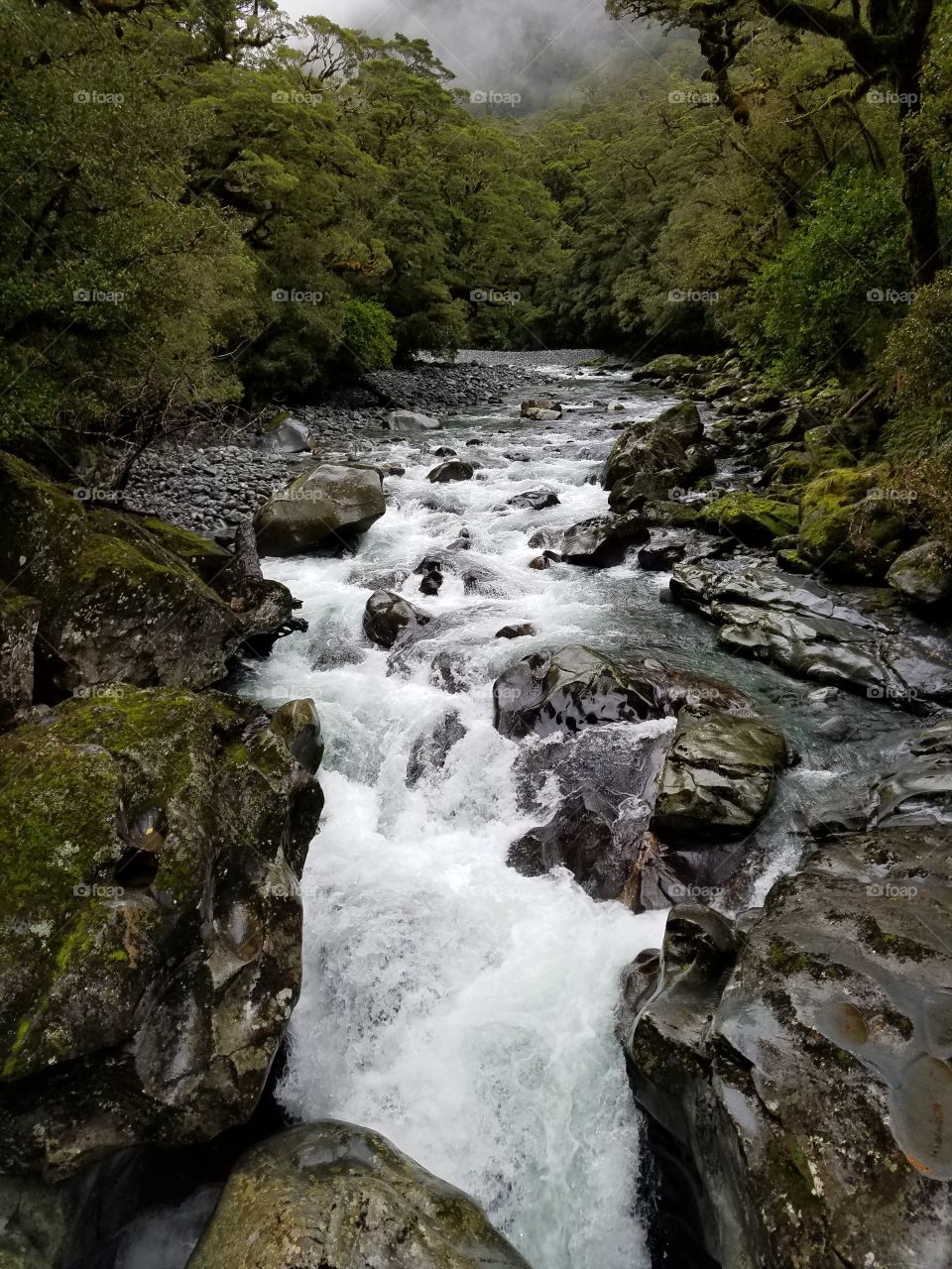 Rushing stream