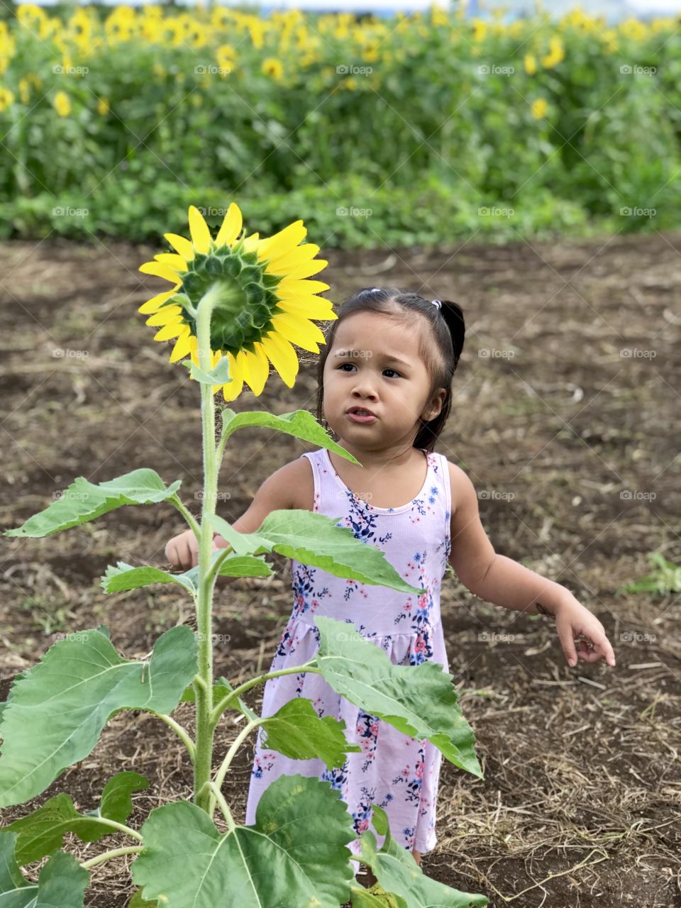 This 2 year old is curious about her  surroundings. She’s not sure if she should touch the flower :)  