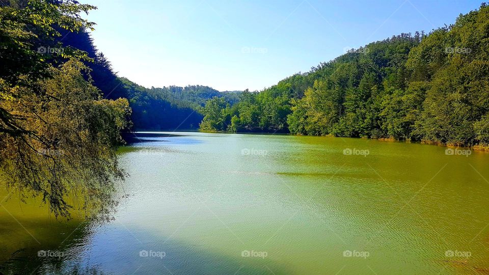 Vida lake, green lake, Romania