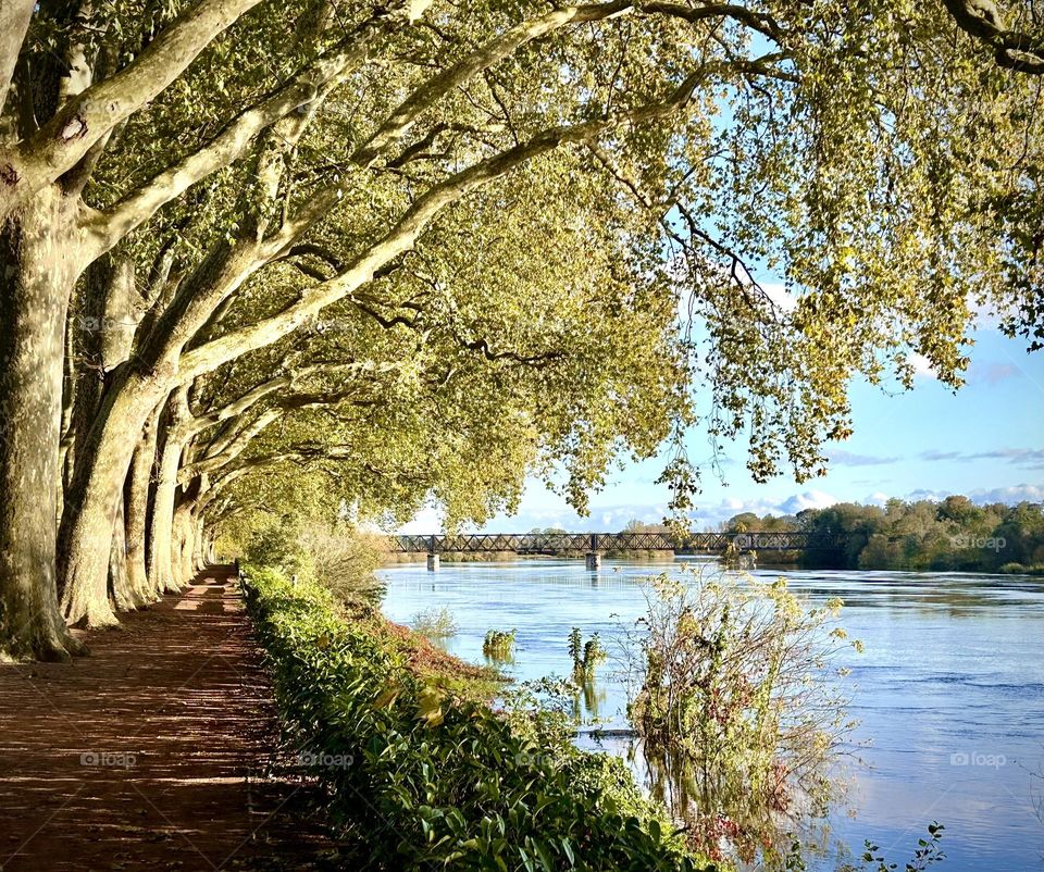 Chinon , France Vienne River November 2033 . 