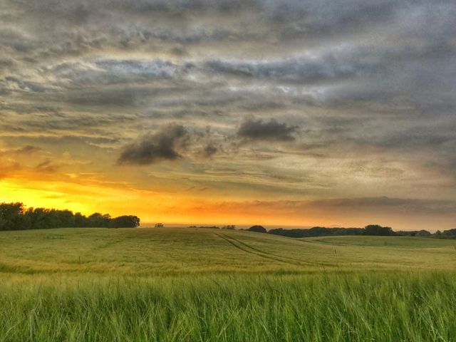 Colorful summer sunset