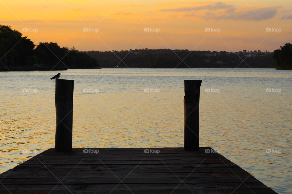 Beautiful sunset on the deck of a lake in the company of a bird.