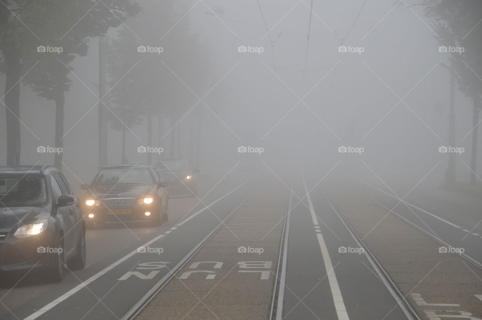 Mist On The Road
