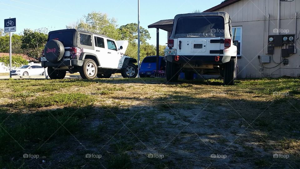 Just two jeeps getting working on