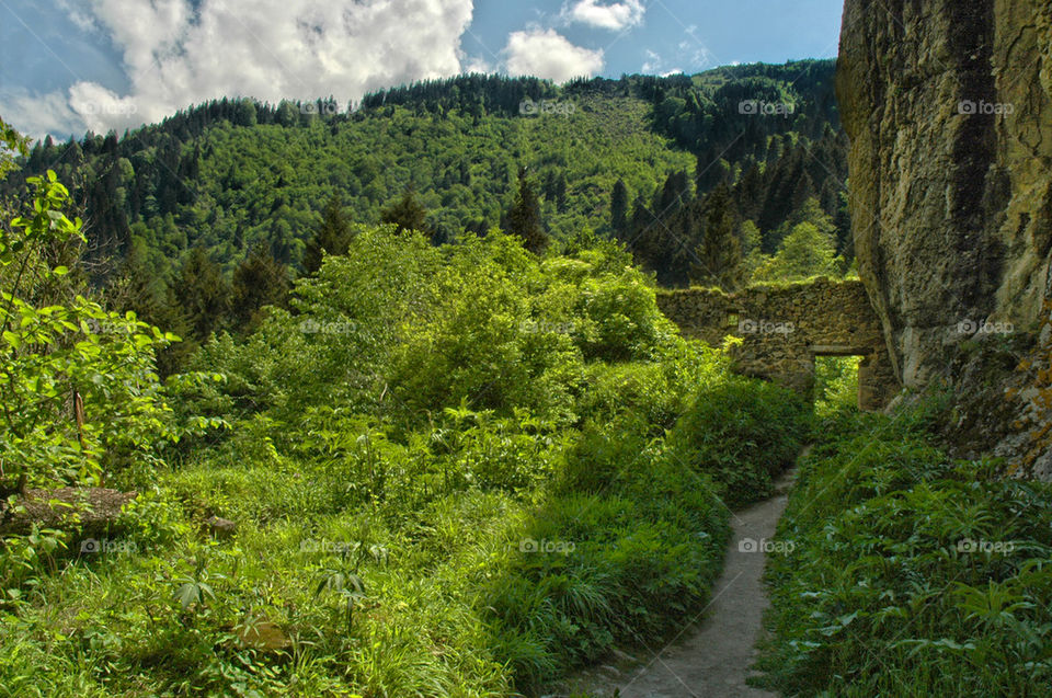 tones of green