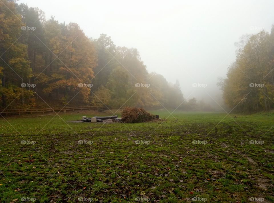 Landscape, Fog, No Person, Tree, Mist