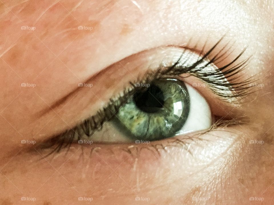 Green hazel eye of a child, eleven year old girl 