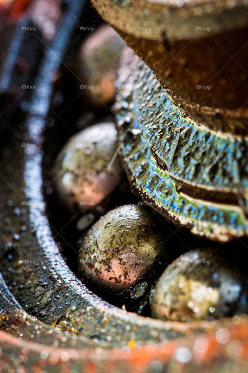 World of macro - love the details of this close up of ball bearing and oil. Image taken on a working farm in South Africa