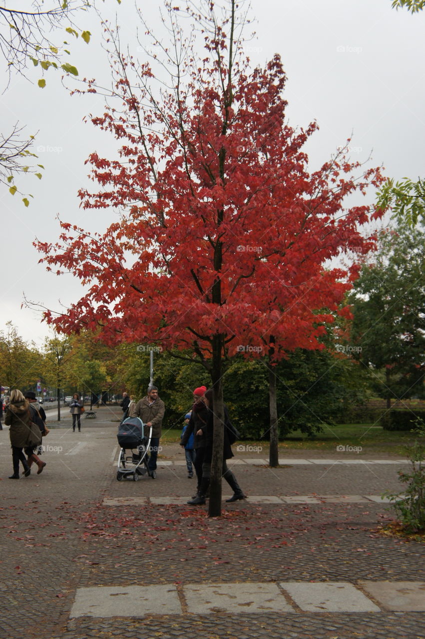 Autumn in Berlin