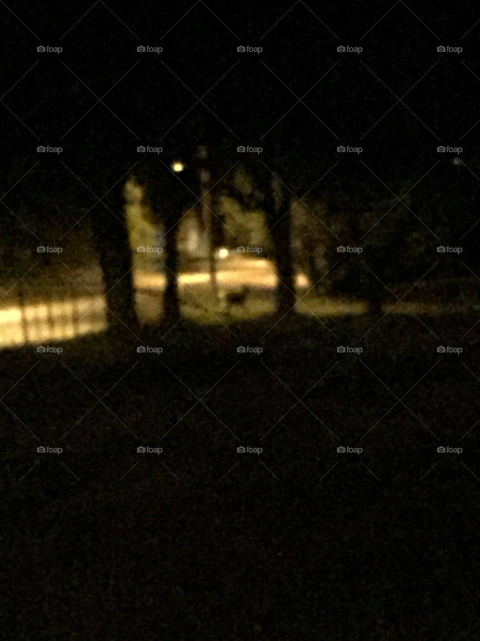 A deer in a blur 