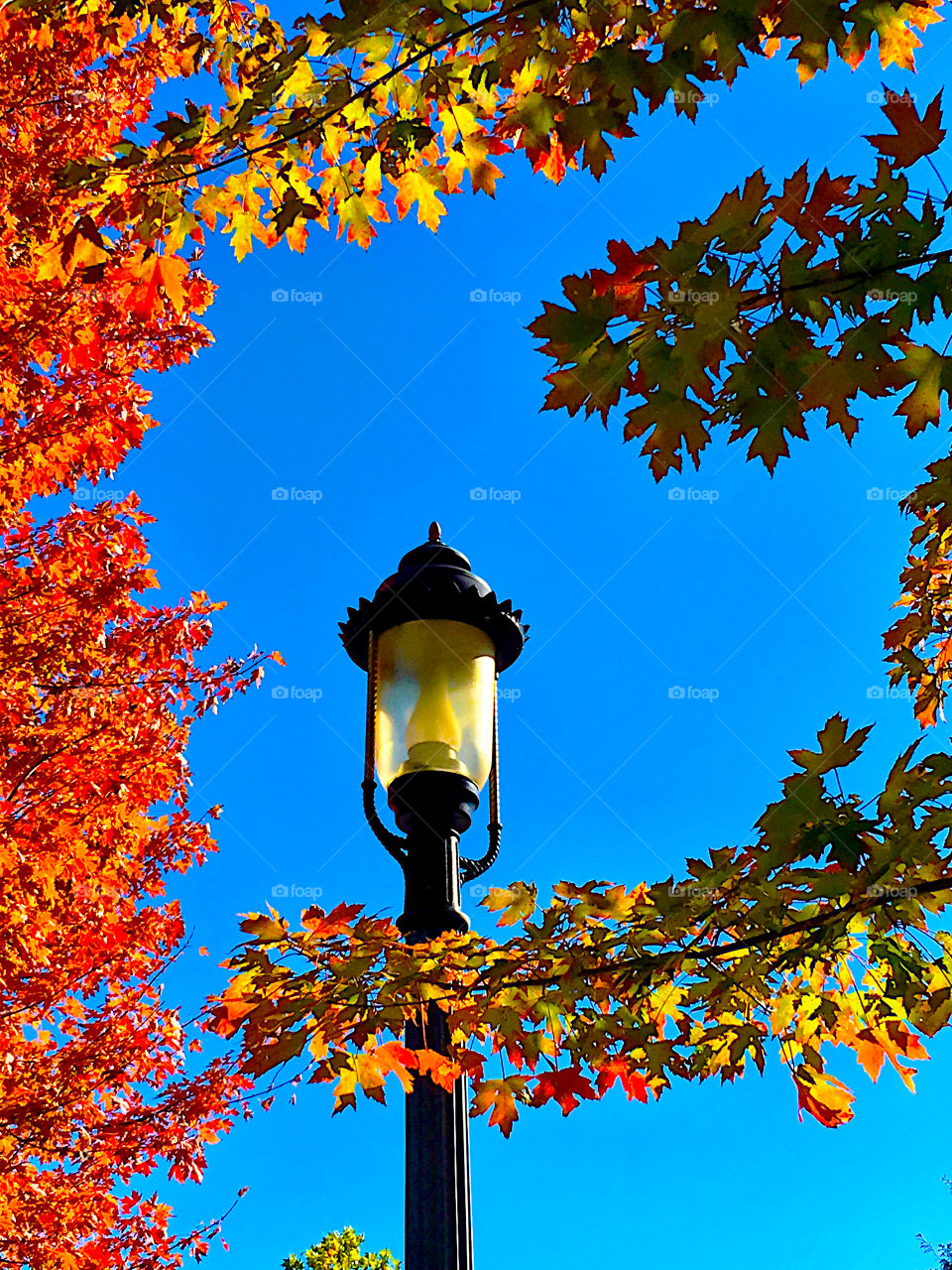Low angle view of street light