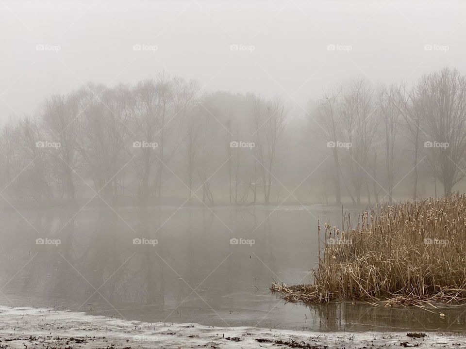 Ice on a pond on a cold foggy winter morning
