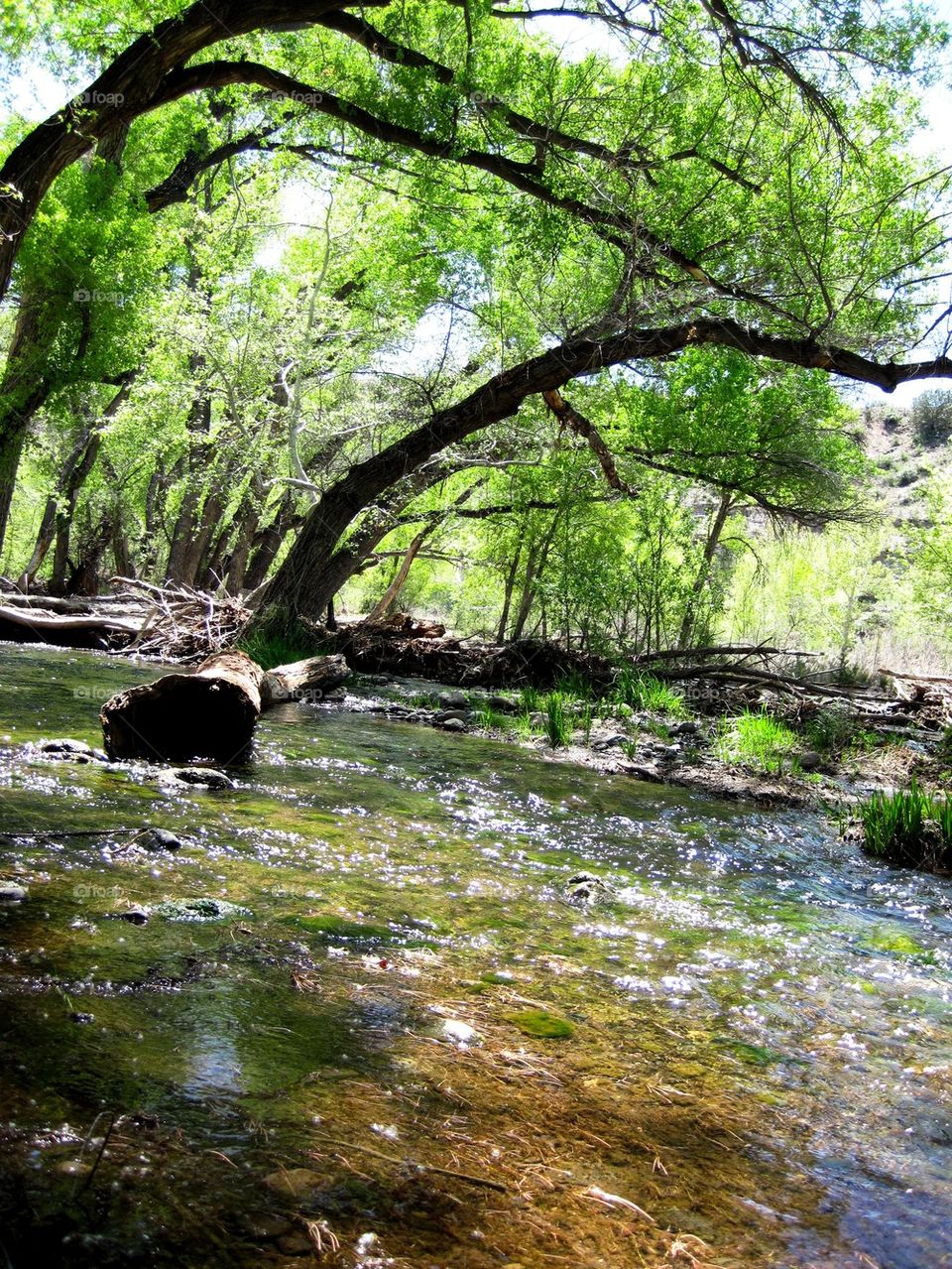 Clear creek