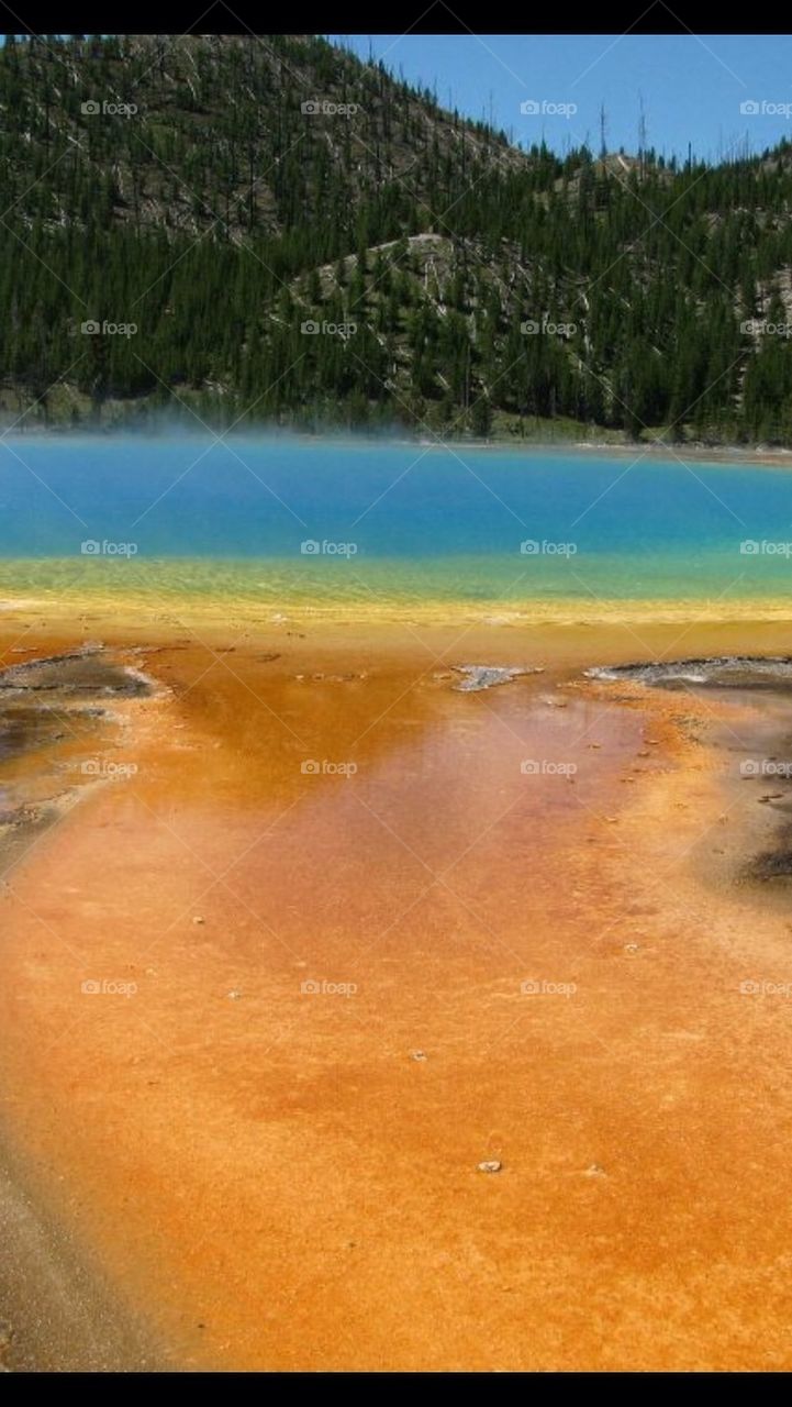 Yellowstone prism