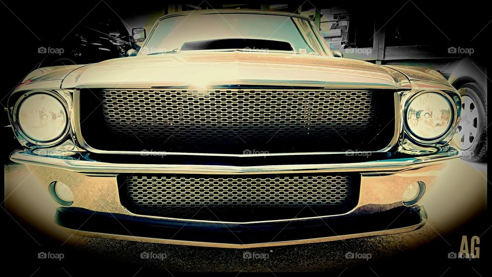 Do you like Muscle Cars? saw this beauty and had to snap a pic. Need a screen saver?