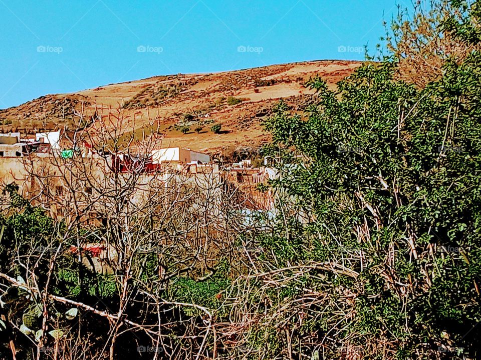 Population between the nature