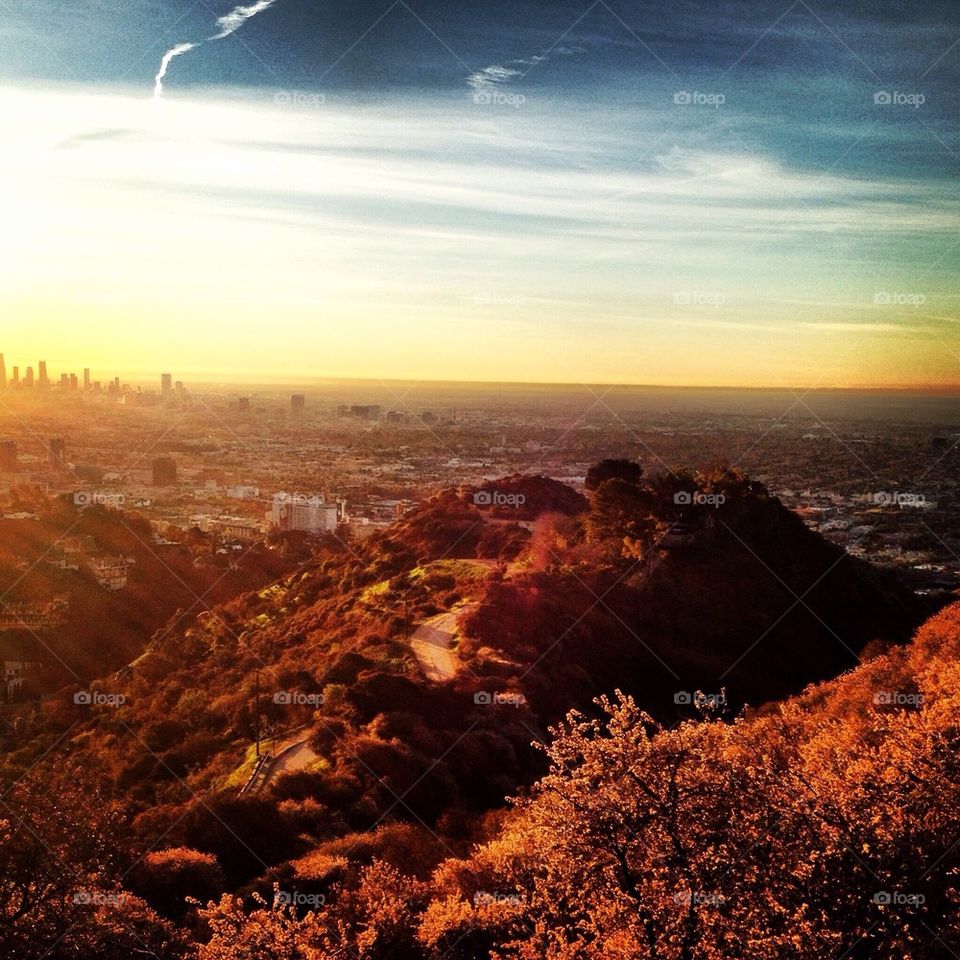 Runyon 