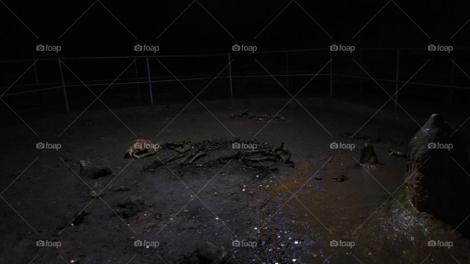 Bear bones in a dark underground cave in Romanian mountains