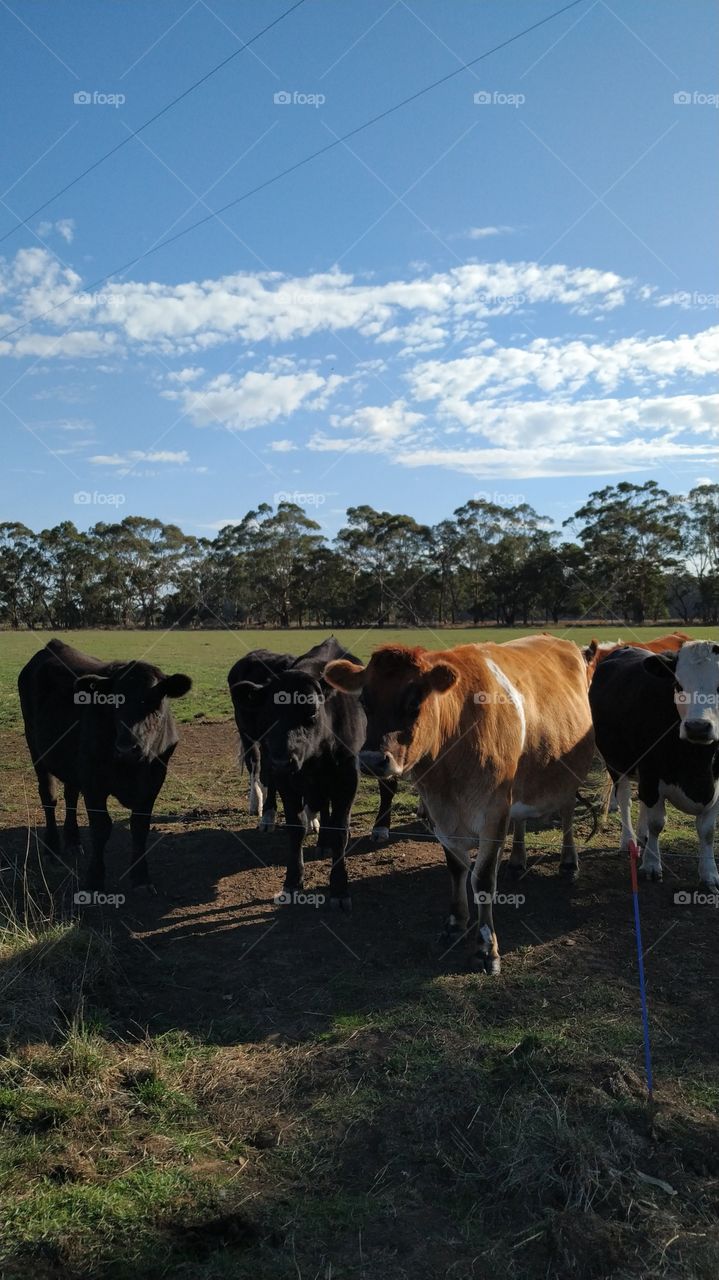 It's beautiful being in the countryside!