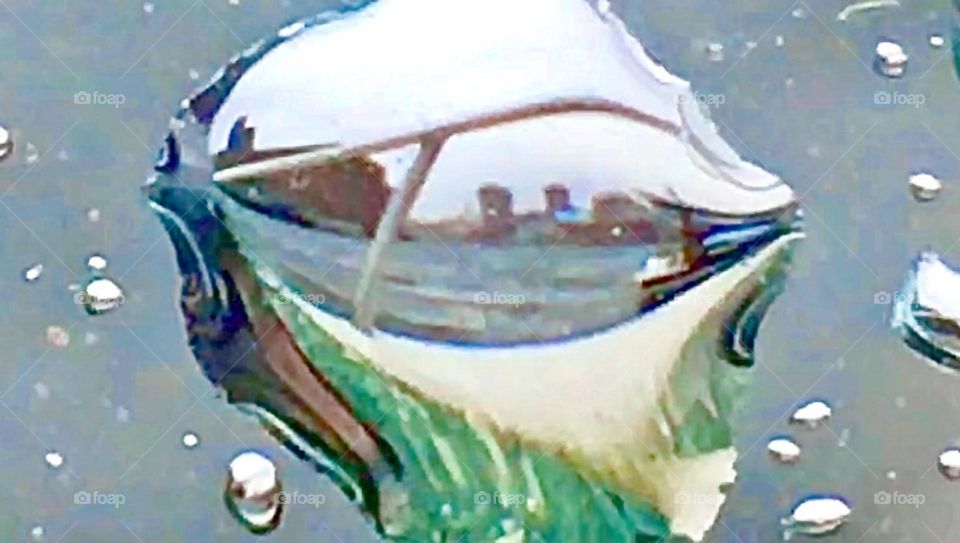 This is a photographs one gets only once in a lifetime. The back deck of our sailboat “Salvation”, the aluminum railing and the shore across the water on the Greenpoint, Bklyn side are reflected in a large drop of water. 2019. Hypnotic Productions