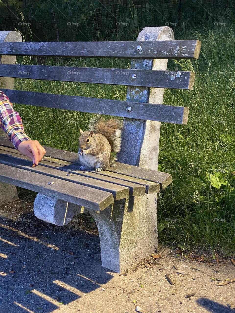 A person giving nuts to the squirrel 