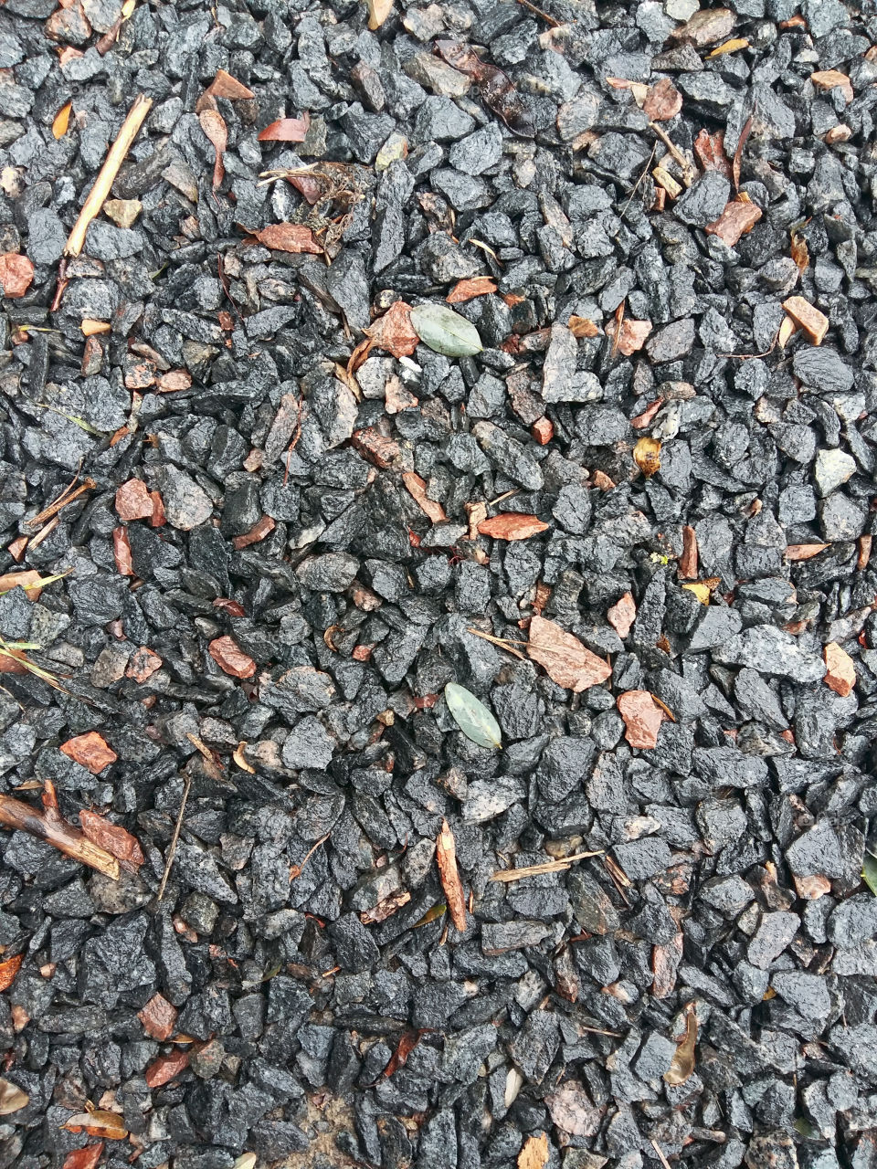 gray gravel after a rain with leaves