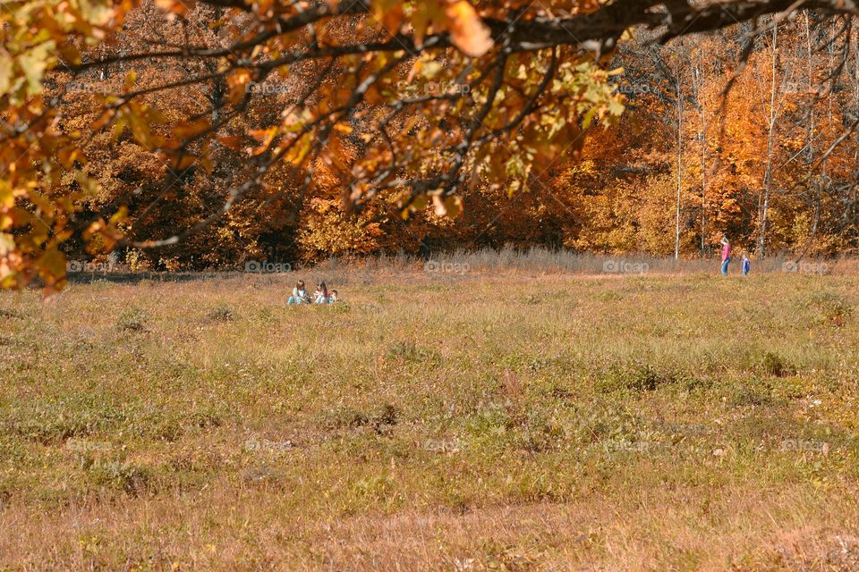 autumn in the city