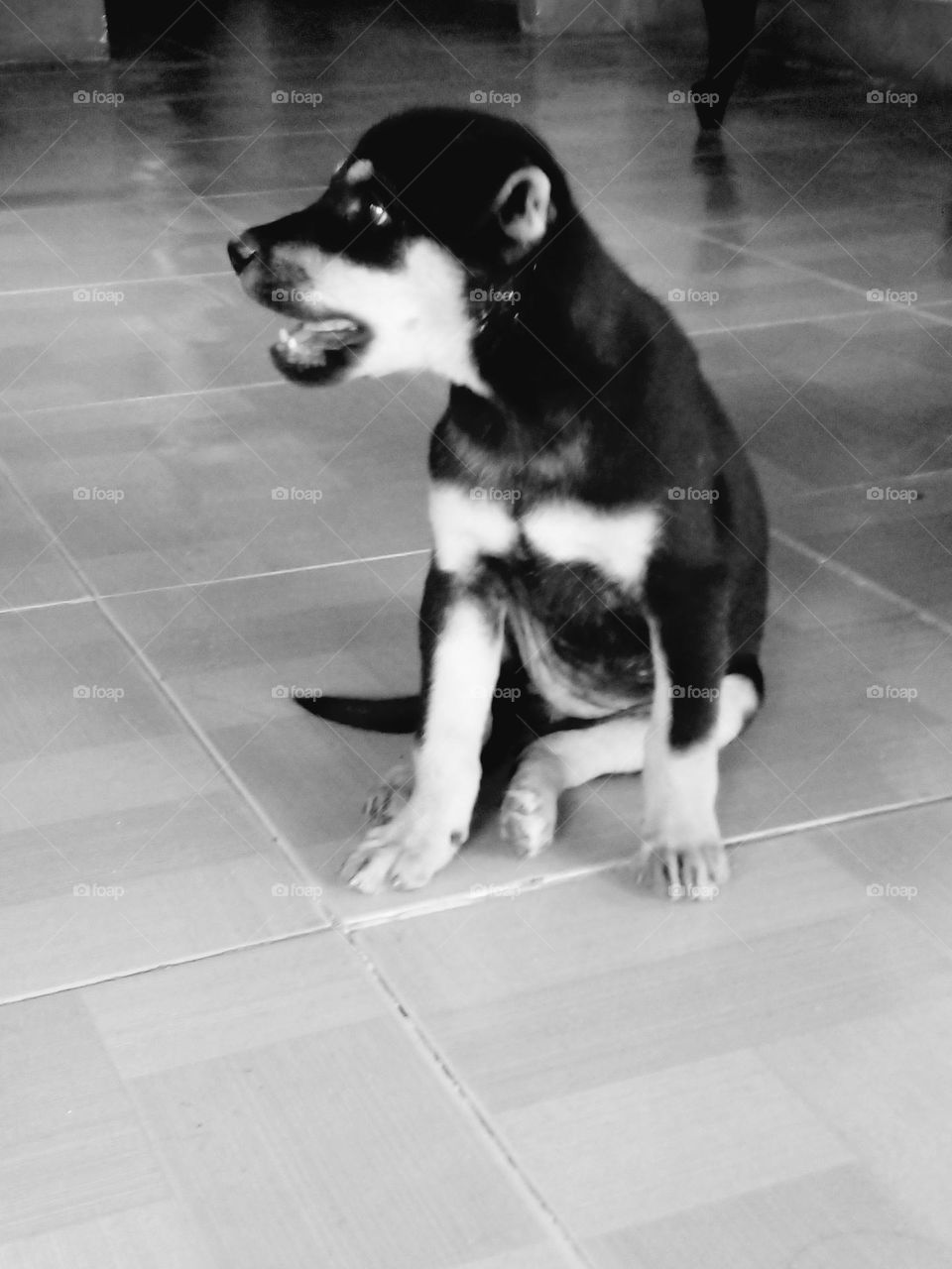 Em đang chụp hình.