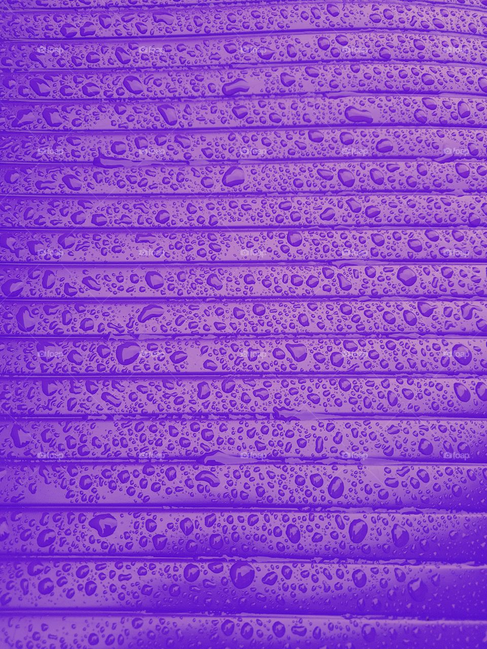 Close up of water droplets on a wet shiny plastic surface purple with horizontale lines parallele