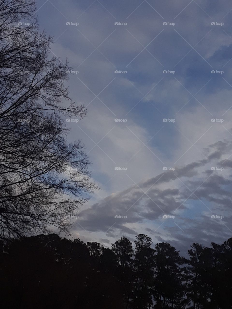 Series: Shades Of Gray