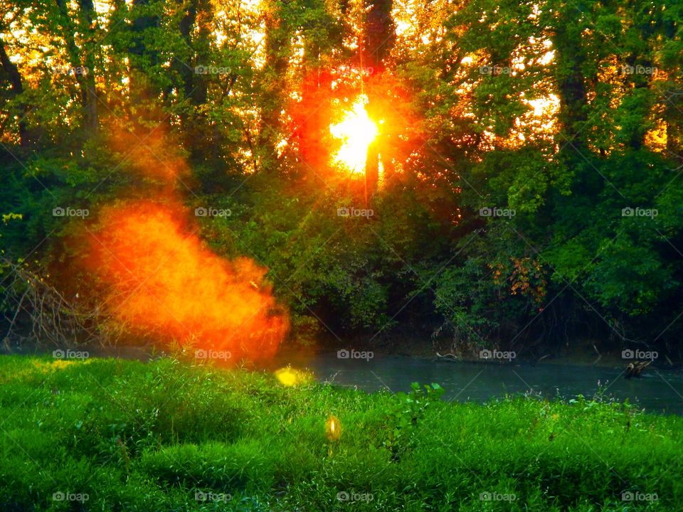 Foggy camping morning in Indiana 