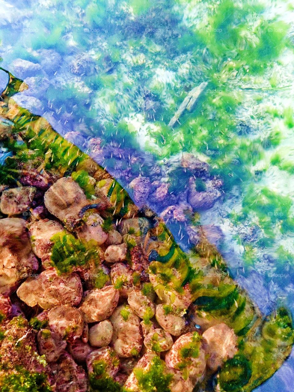 Natural abstract and macros photography!