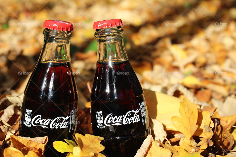 Enjoying fall and coca-cola.