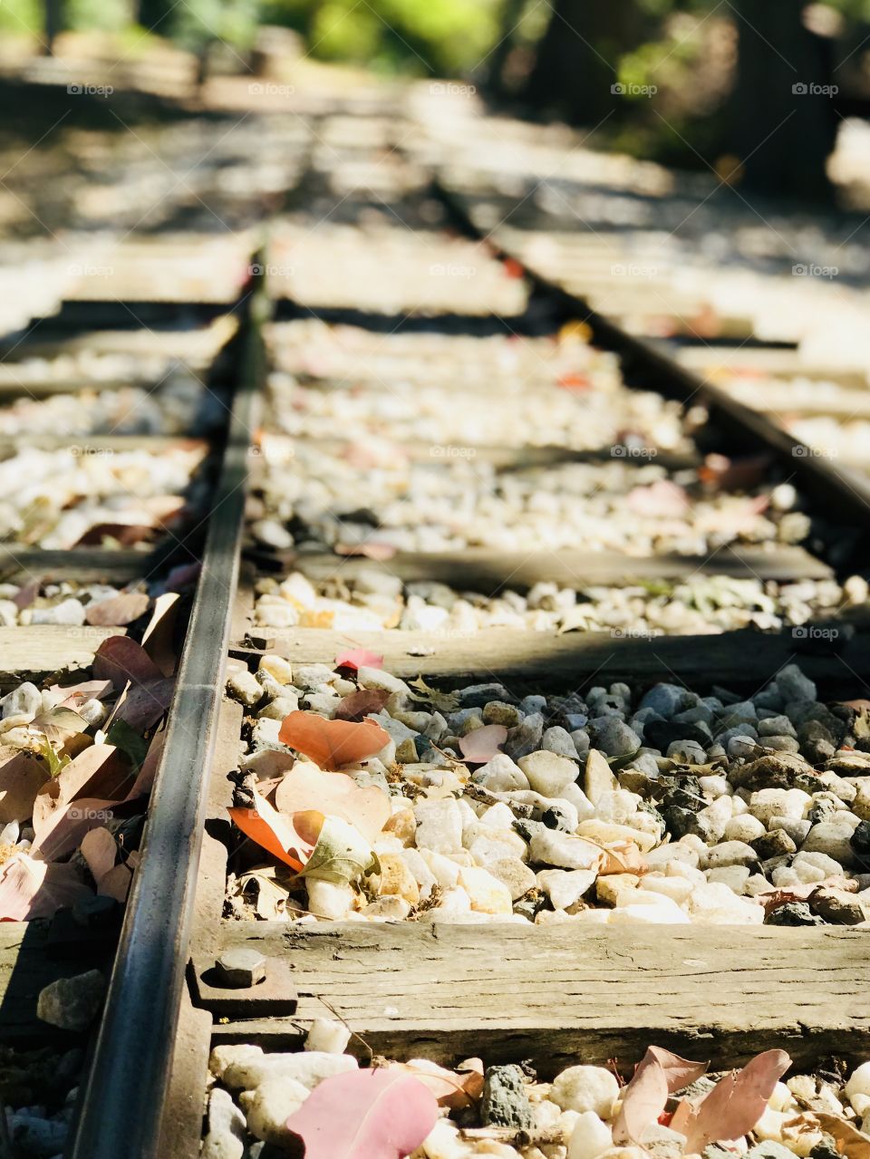 The railroad tracks in the country 