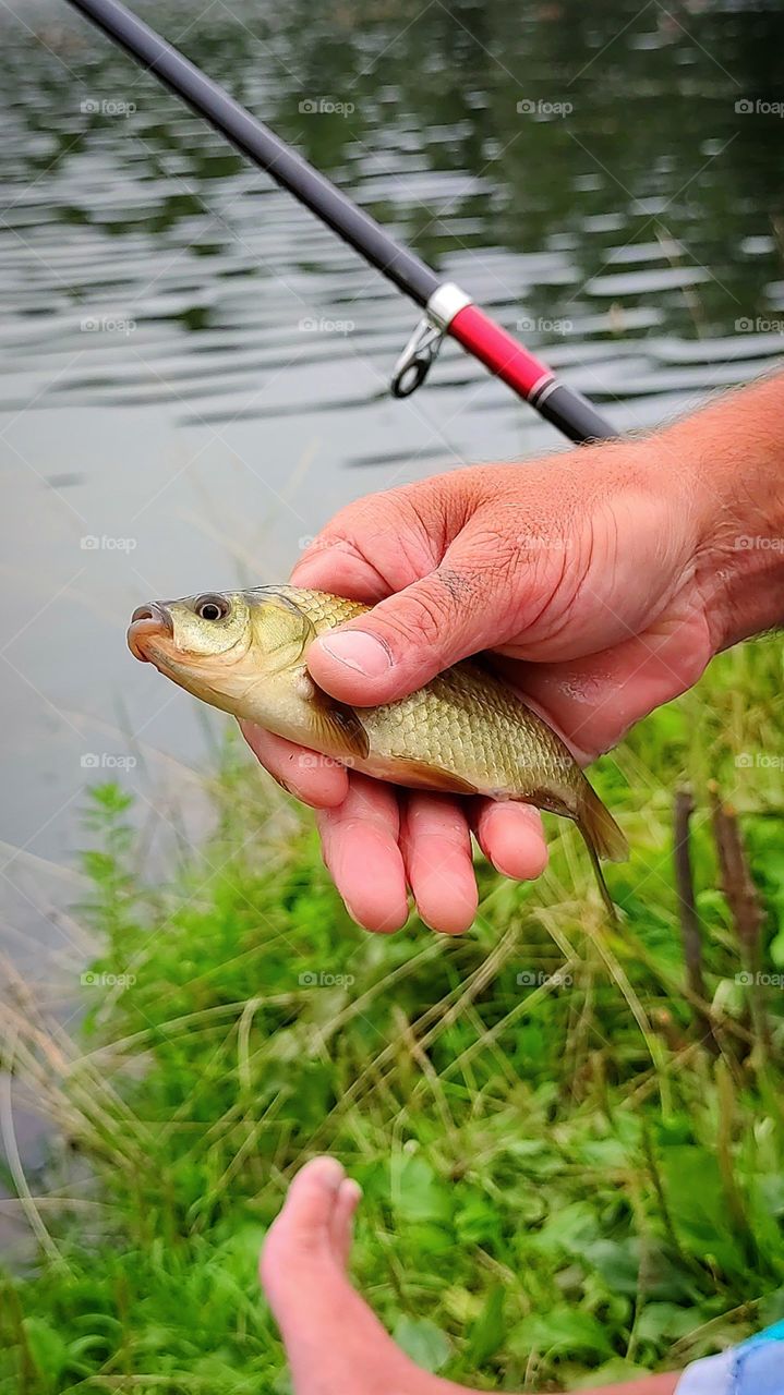 the man's hand holds the caught fish