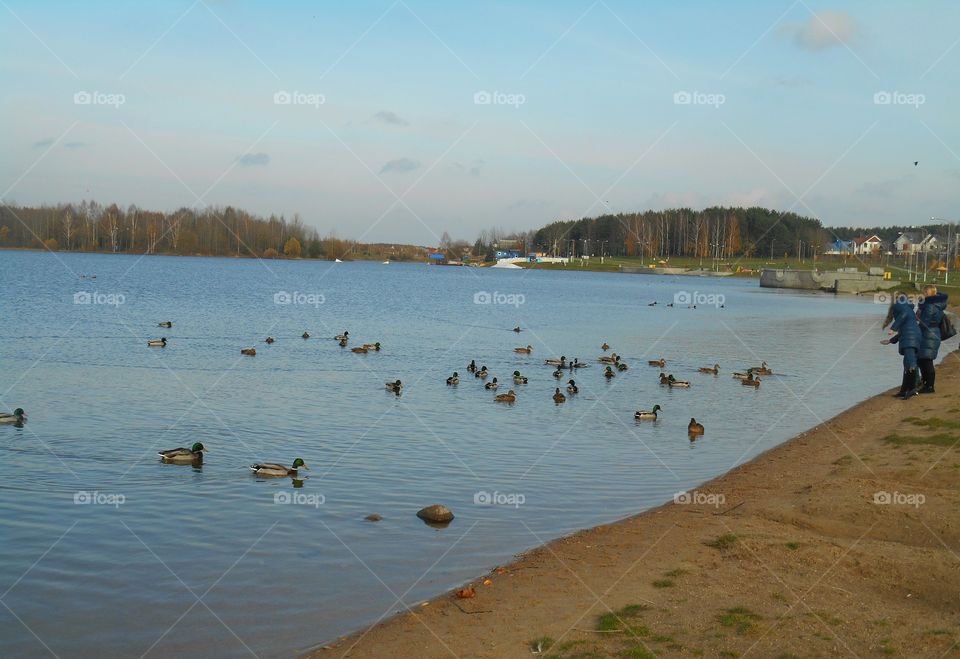 Water, Lake, River, Landscape, No Person