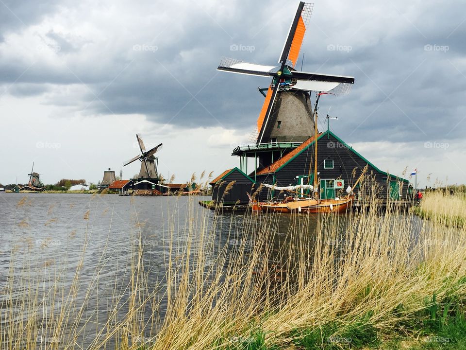 Dutch Windmills. Windmills at Zaanse Schans, The Netherlands