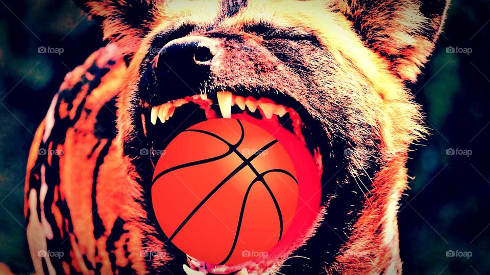 Speaking in dog's mouth